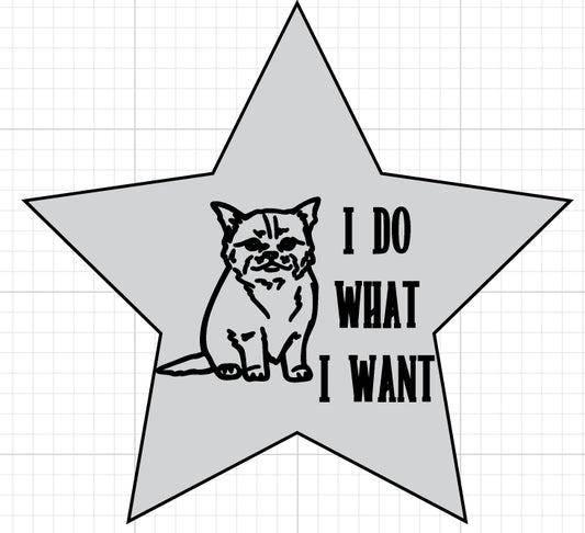 I do what I want